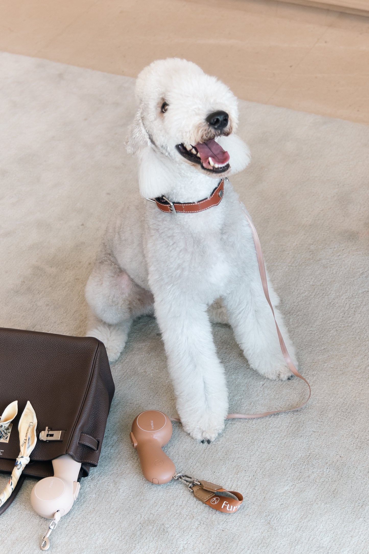 FurRéal Maison Pet Leash - ChocoLéash “Flagship”