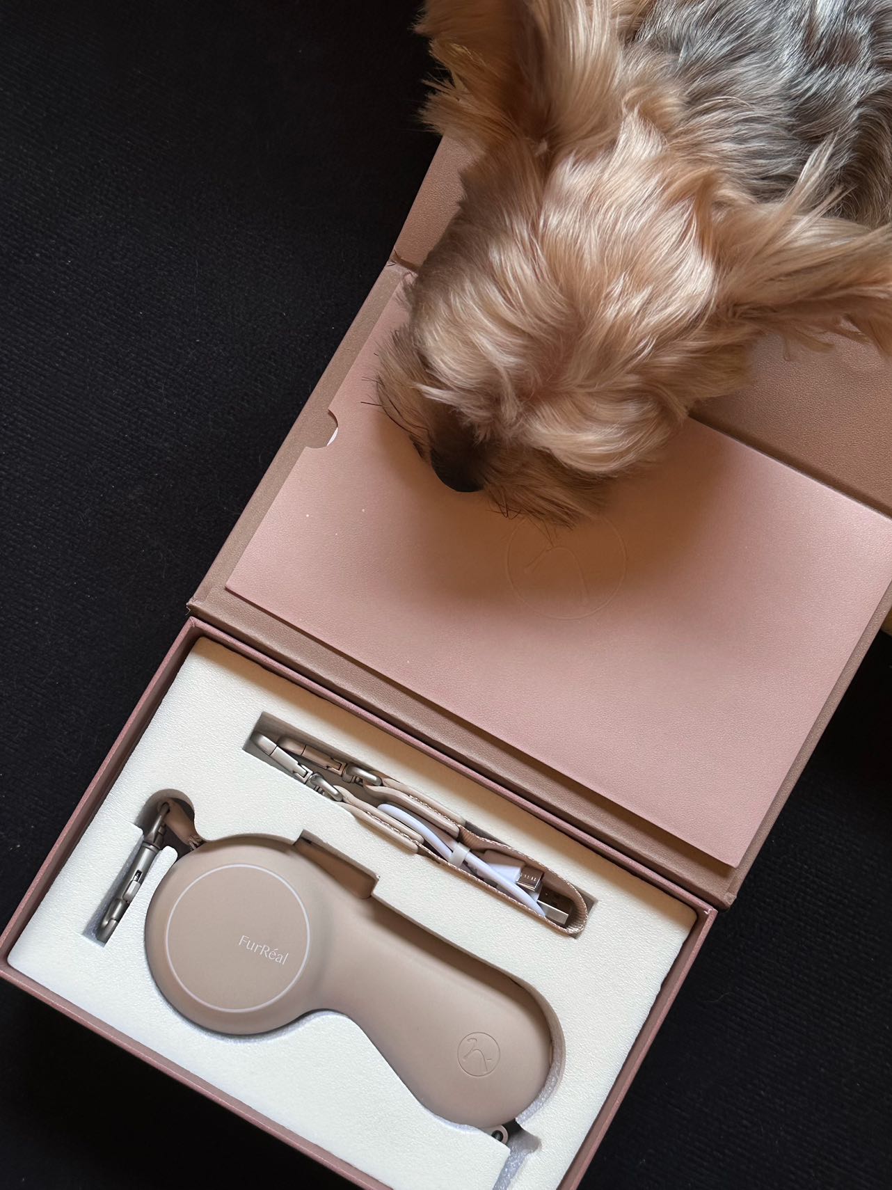 FurRéal Maison Pet Leash - ChocoLéash “Lite”