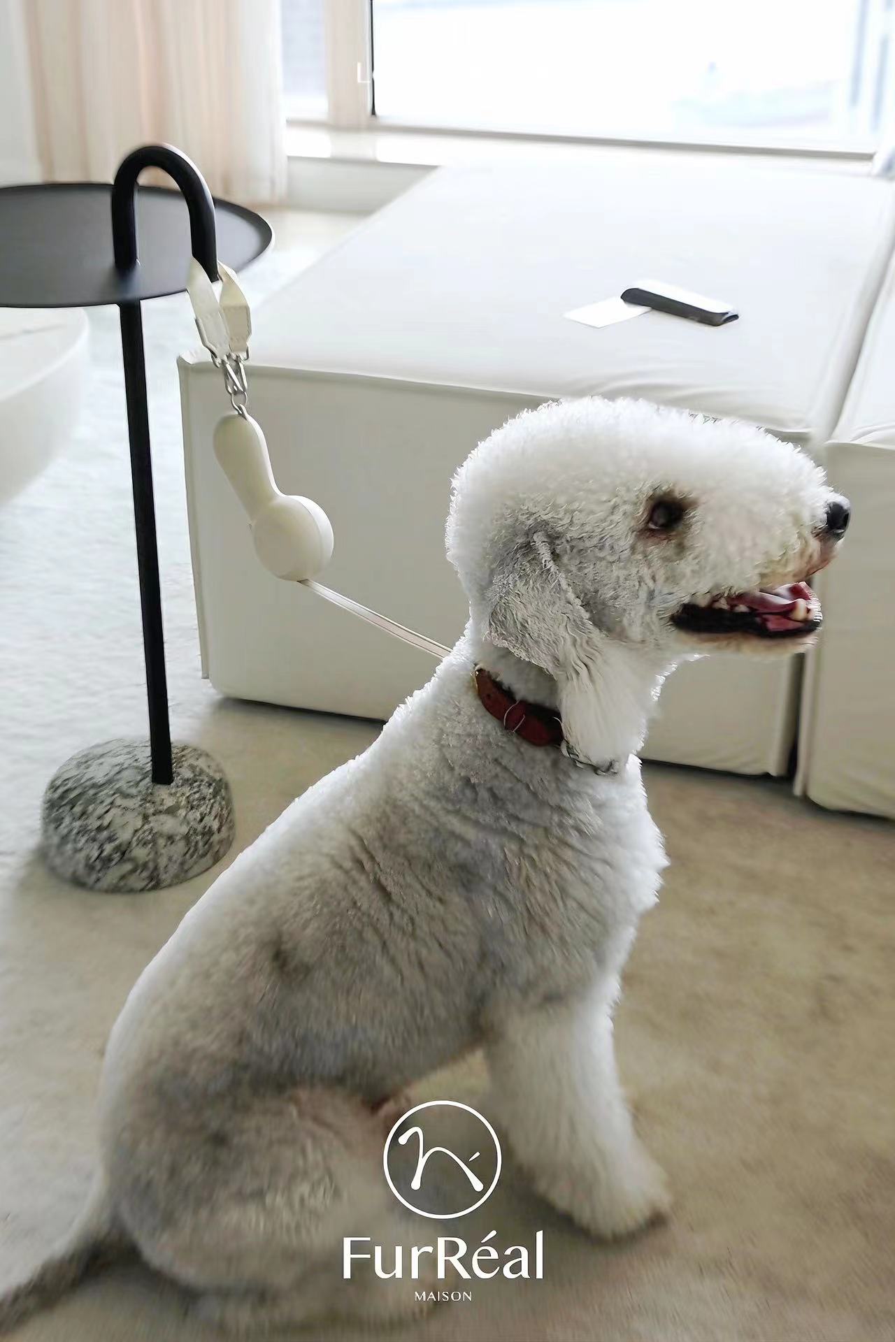 FurRéal Maison Pet Leash - ChocoLéash “Lite”