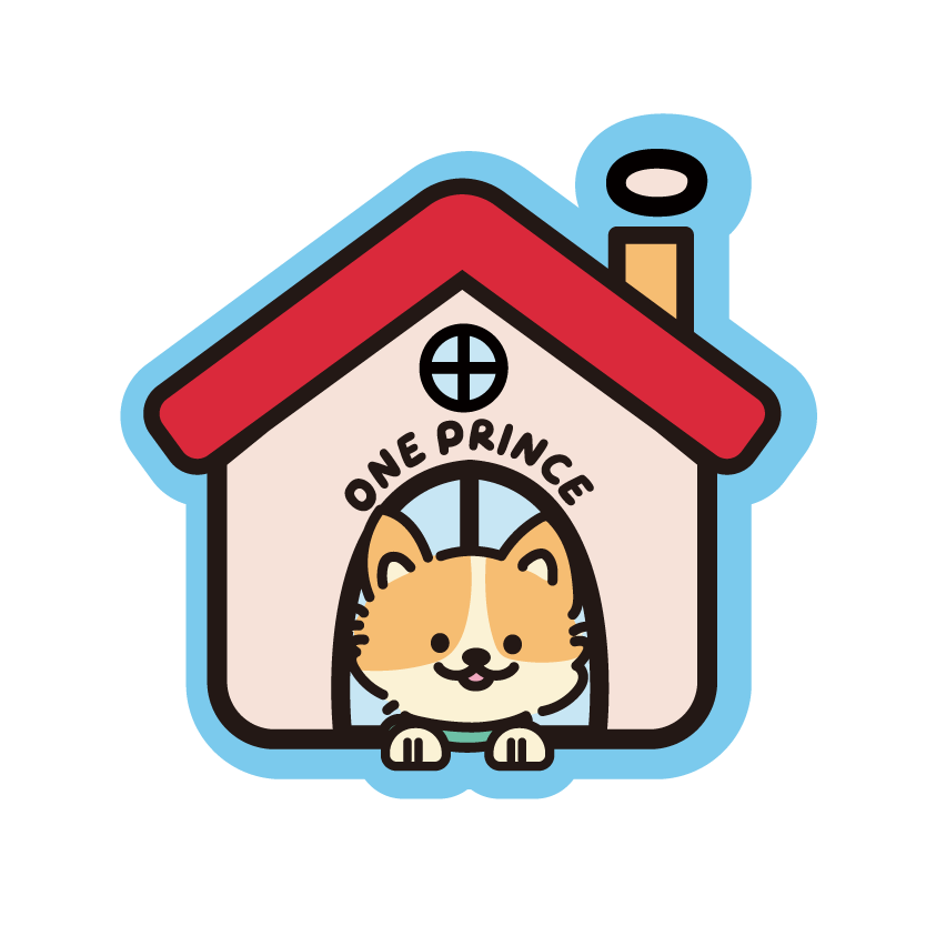 OnePrince Clear Acrylic Charms Collection