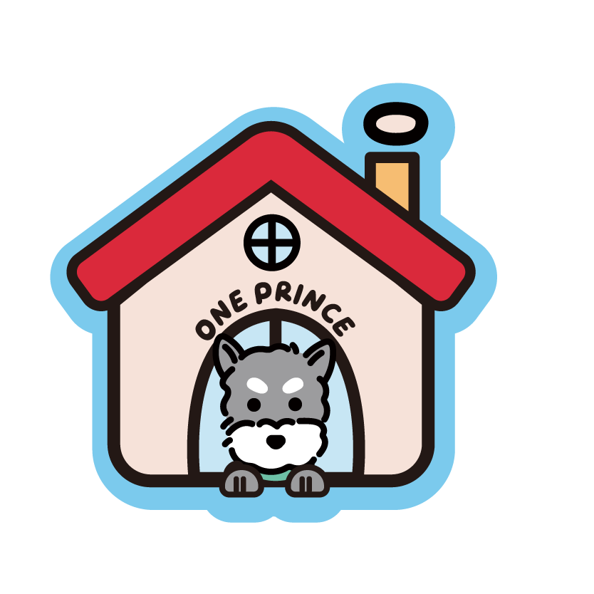OnePrince Clear Acrylic Charms Collection